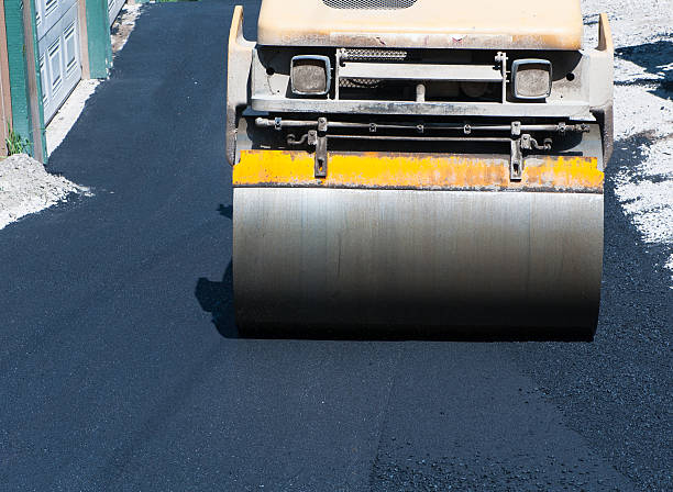 Best Driveway Snow Removal Preparation  in Pierce City, MO